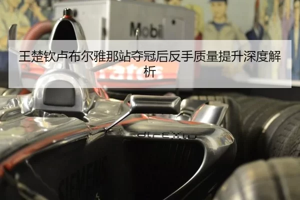 wang-chu-qin-lu-bu-er-ya-na-zhan-duo-guan-hou-fan-shou-zhi-liang-ti-sheng-shen-du-jie-xi-2-851.jpg